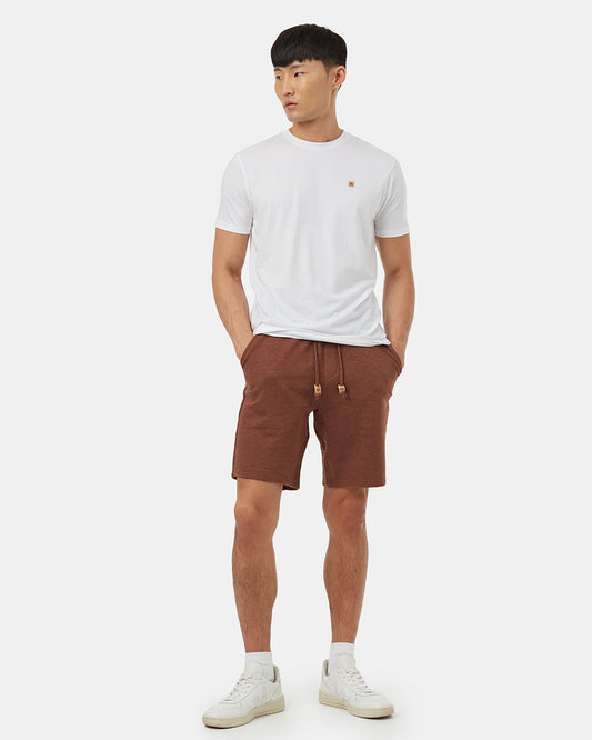 brown_active_shorts_mens